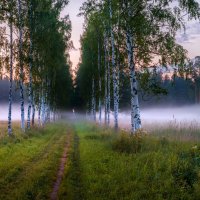 Летняя заря, или берёзовая роща :: Фёдор. Лашков