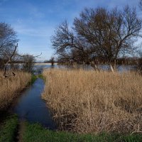 Пришла большая вода... :: Николай Саржанов