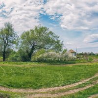 Весна в деревне :: Наталья Ильина