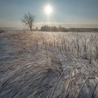 Замерзшее болото :: Fuseboy 