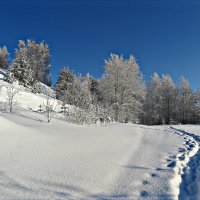 Зимний день :: Leonid Rutov