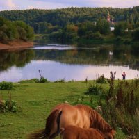 На Днепре :: Галина Козлова 