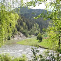 В Карпатах :: Роман Савоцкий