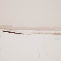 Зима :: Наталья Копылова