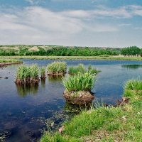 фото :: Егор Гребенюк