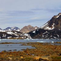Гренландское лето #4 :: Олег Неугодников