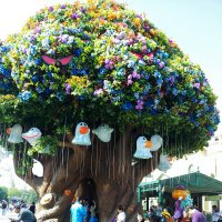 everland#my lovely parents^^ :: ruth kan