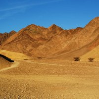Пустыня Арава-1 :: Alex S.