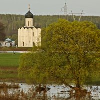 ...на Нерли :: Сергей Дабаев