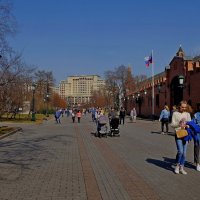 Александровский сад :: Михаил Рогожин