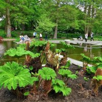 Planten un Blomen Hamburg :: Nina Yudicheva