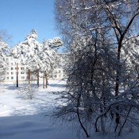 Мартовский снег :: Олег Афанасьевич Сергеев