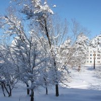 Мартовский снег :: Олег Афанасьевич Сергеев