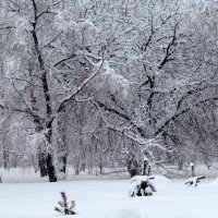 Парк :: жанна нечаева