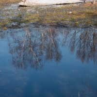 Последний снег. :: Владимир Безбородов