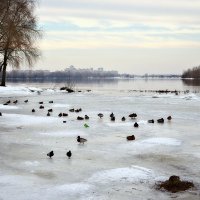 Конец марта. Ждем настоящую весну. :: Валентина Данилова