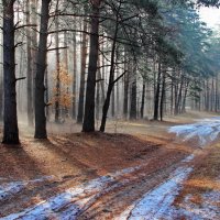 Последний снег апрельских перемен... :: Лесо-Вед (Баранов)