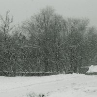 falling snow :: Юлия Денискина