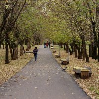 Осень в городе.5. :: Юрий Карелин 