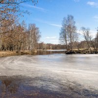 Солнечный день :: Виталий 