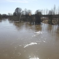 Солнечные зайчики в талой воде :: Анатолий Кувшинов