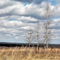 Небо апреля :: Николай Масляев