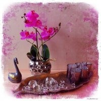 Лебедь и орхидея :: Nina Yudicheva