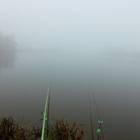 Туманное утро на пруду :: Сергей F