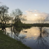 майский вечер :: оксана 