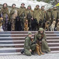 Боевые друзья :: Галина Стрельченя