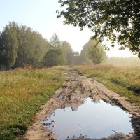 Раннее утро :: Сергей 