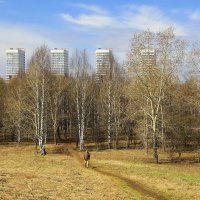 В парке :: Галина Новинская