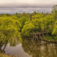 Природа ошибок не прощает :: Сергей Цветков