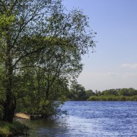 Вешние воды Припяти :: Ирина Приходько