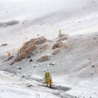 Серебряная осень :: Ник Васильев