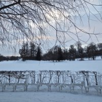 Зимний вечер в Царском Селе :: Елена 