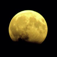 Лунное частное затмение :: Raduzka (Надежда Веркина)