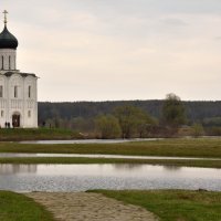 Покрова на Нерли :: Игорь Нелюбович 