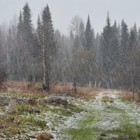 Сибирский май (снегопад) :: Татьяна Соловьева