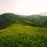 Ашакент :: Анзор Агамирзоев