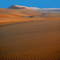 Пустыня Намиб.   Намибиа. :: Jakob Gardok