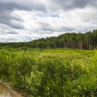 хмурый день :: Петр Беляков