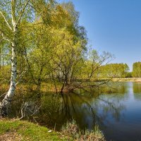 Настроение :: Александр Тулупов