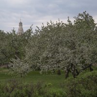 Весенний туман :: Александра 