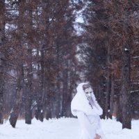 Леди Зима :: Анастасия Сапронова