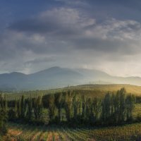 Крым :: Фотограф Дарья Скугарева