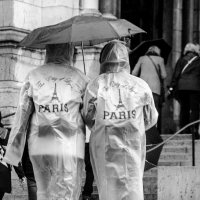 Дождливый Париж :: Наталия Л.
