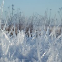 Кристаллы на крышке колодца :: Светлана Рябова-Шатунова