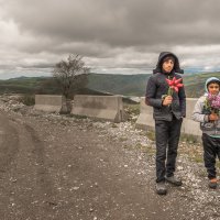 Серия. Азербайджан. Придорожные цветы :: Борис Гольдберг