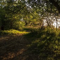 Свет и Тень :: Николай Саржанов